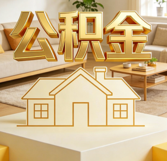 崇左资金如何“活”起来，服务如何“智”起来？